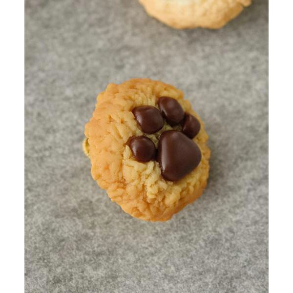 ビバリーホワイト　ディズニーベア　クッキー ビバリーホワイト ディズニーベア クッキー ビバリー・ホワイトさん