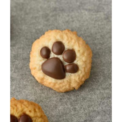 テディベアのニクキュウ ミルク クッキーピアス