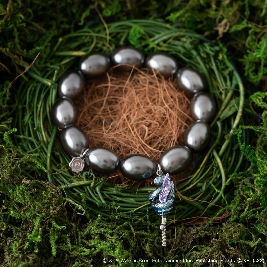 ファンタスティックビースト コラボアクセサリー ブレスレット