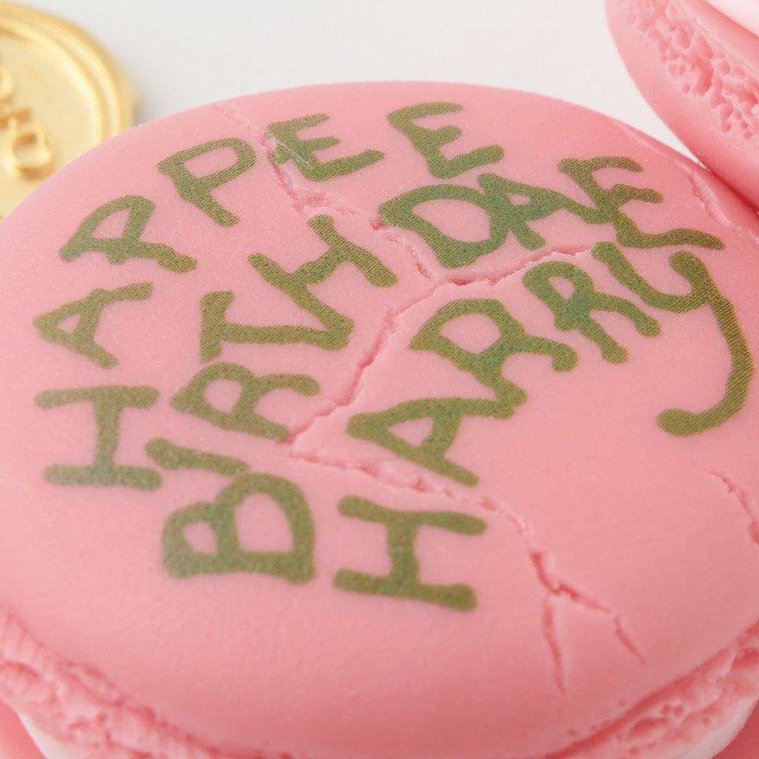 HAPPEE BIRTHDAE HARRY マカロン ネックレス【ハリーポッターコラボ 