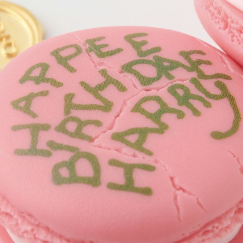 HAPPEE BIRTHDAE HARRY マカロン バッグチャーム【ハリーポッターコラボ】 | Q-pot. ONLINE SHOP