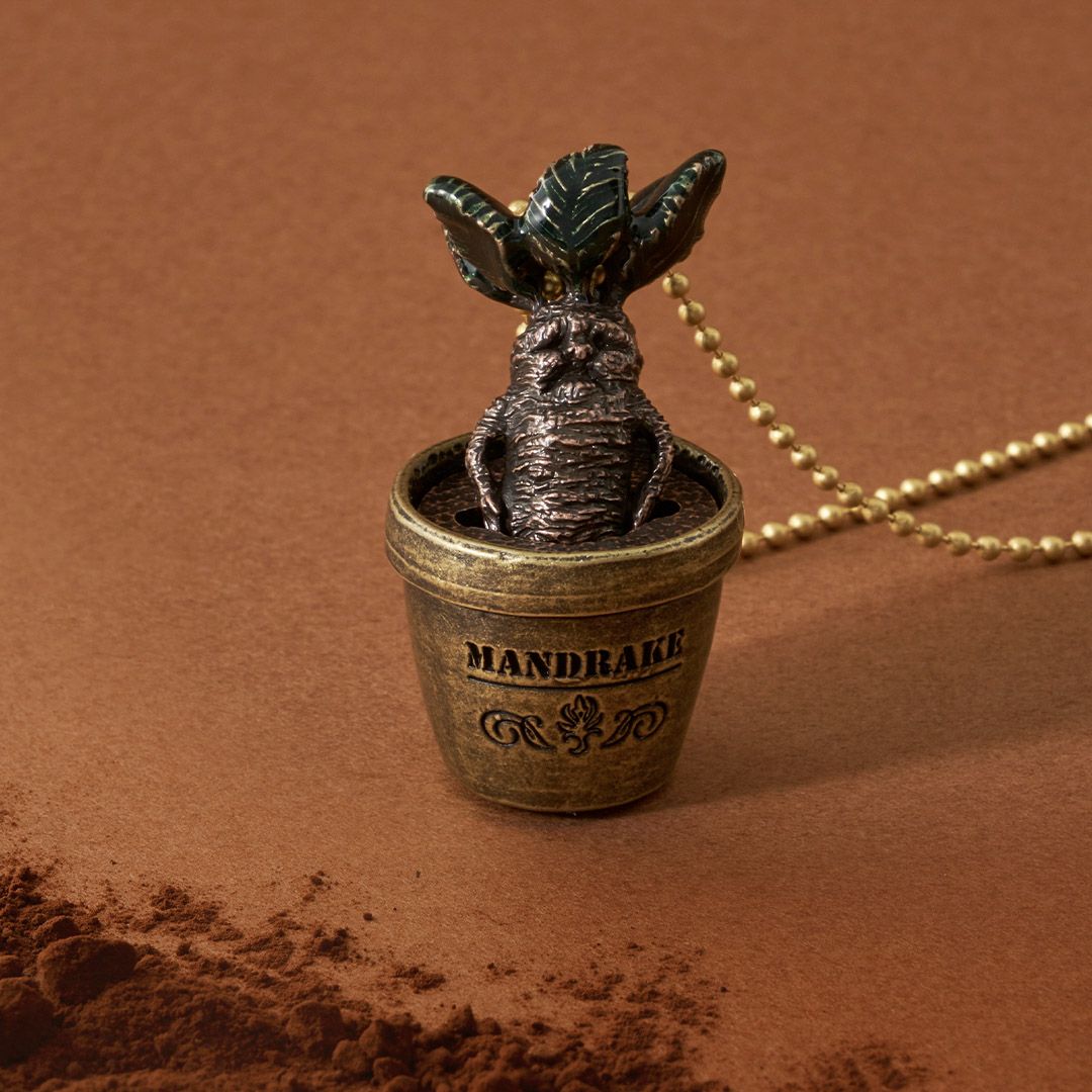 ハリーポッターコラボアクセサリー ネックレス