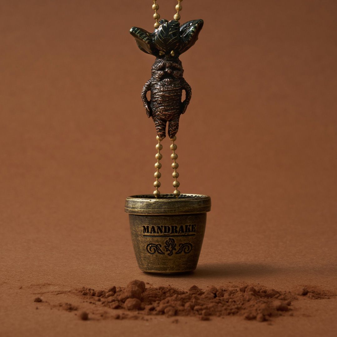 ハリーポッターコラボアクセサリー ネックレス