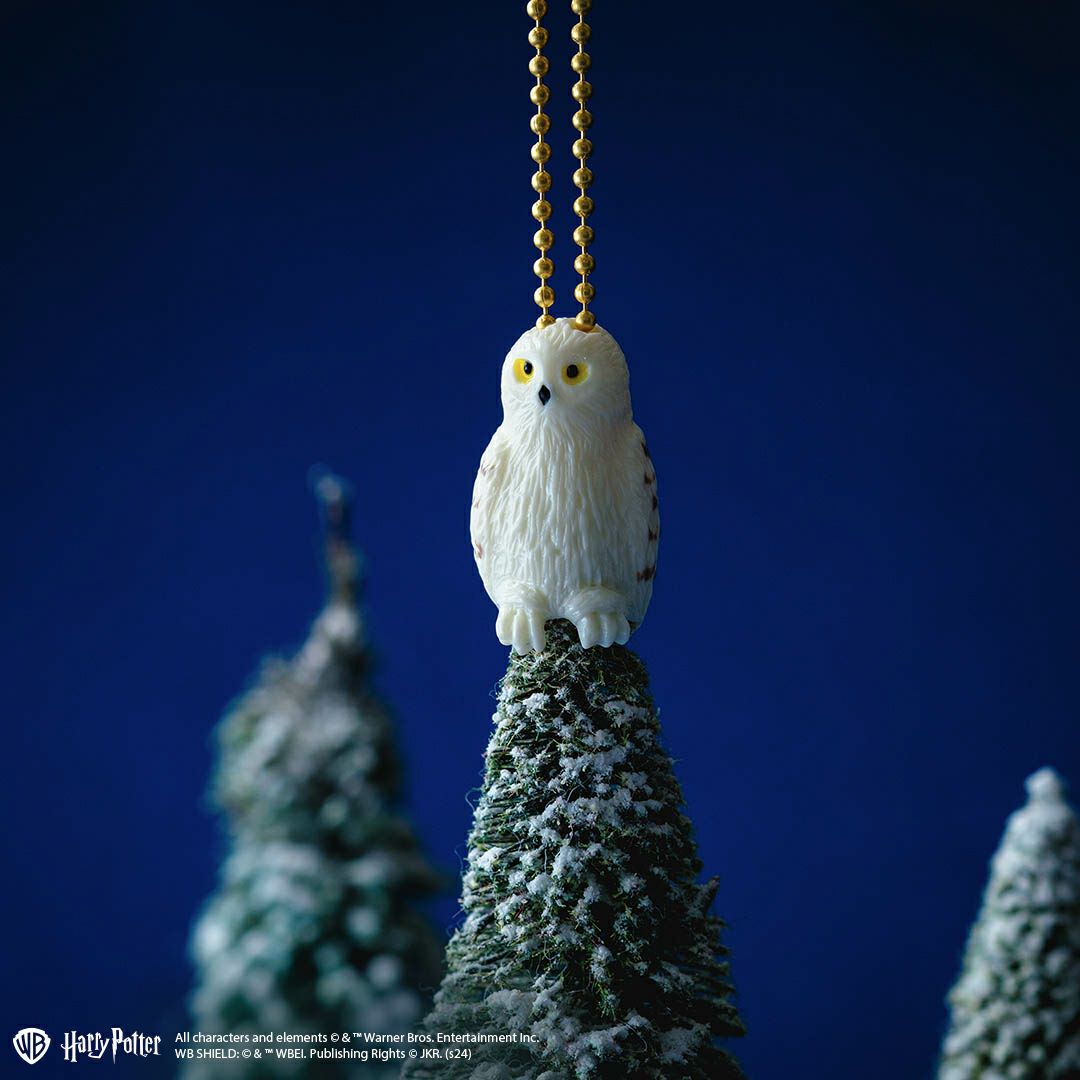 ハリーポッター コラボ アクセサリー