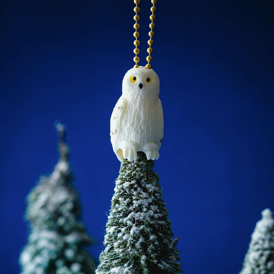 ハリーポッター コラボ アクセサリー