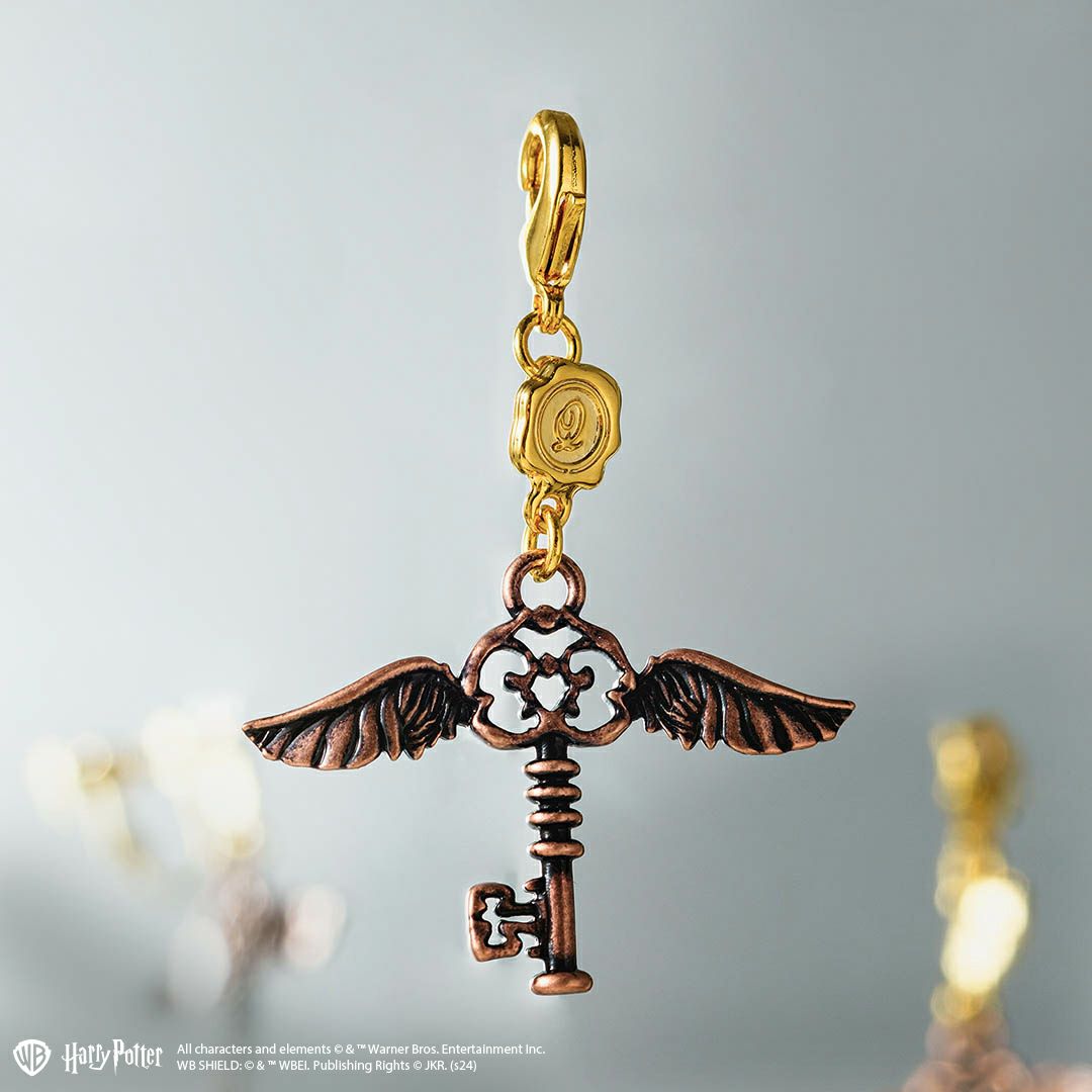 ハリーポッター コラボ アクセサリー
